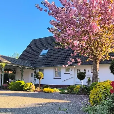 Apartment In